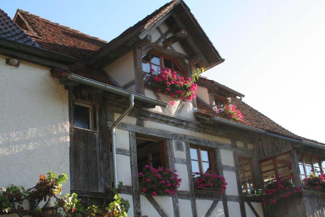 Hotel Gaestehaus Theresia Garni Muhlheim an der Donau Exterior photo